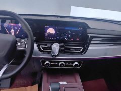 Hongqi HS5 2023 2.0T Qixiang Pro Edition - ფოტო 13