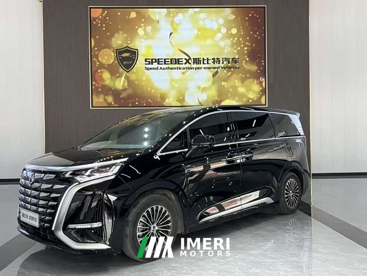 Denza D9 DM-i 970 four-wheel drive flagship