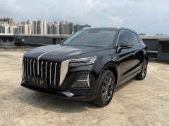 Hongqi HS5 2025 2.0T two-wheel drive Qiyue Pro version - ფოტო 1