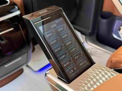Hongqi HQ9 PHEV 2024 2.0T AWD Business Edition - photo 17