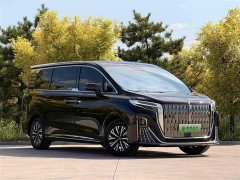 Hongqi HQ9 PHEV 2024 2.0T AWD Business Edition - photo 3