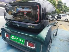 Baojun KiWi EV 2021 artist ternary lithium - ფოტო 7