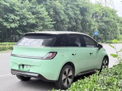 Baojun Yunduo 2023 460 Max - ფოტო 6