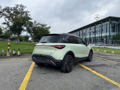 Smart Spirit #1 2024 Dynamic Luxury Edition - ფოტო 15