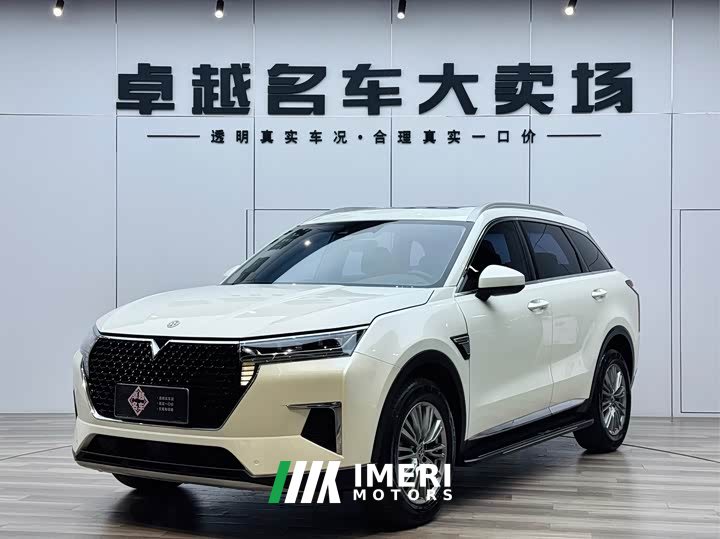 Lexus Venucia 2021 260T automatic 48V mild hybrid supercharged star enjoy success version