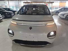 Baojun Yunduo 2023 460 Pro - ფოტო 3