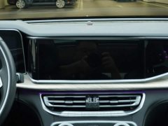 Hongqi H9 2020 2.0T Zhilian Qichang Edition - photo 19