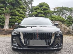 Hongqi H5 2025 2.0T automatic Qichang version - photo 2