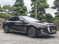 Hongqi H5 2025 2.0T automatic Qichang version - photo 3