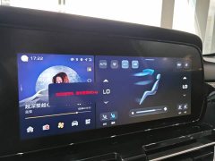 Hongqi HS5 2025 2.0T four-wheel drive Qixiang Pro version - photo 11