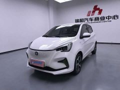 Changan Benben E-Star 2020 Heartbeat Edition ternary lithium - ფოტო 1