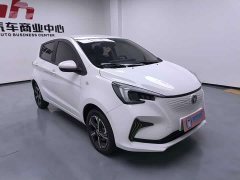 Changan Benben E-Star 2020 Heartbeat Edition ternary lithium - ფოტო 15