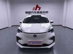 Changan Benben E-Star 2020 Heartbeat Edition ternary lithium - ფოტო 20