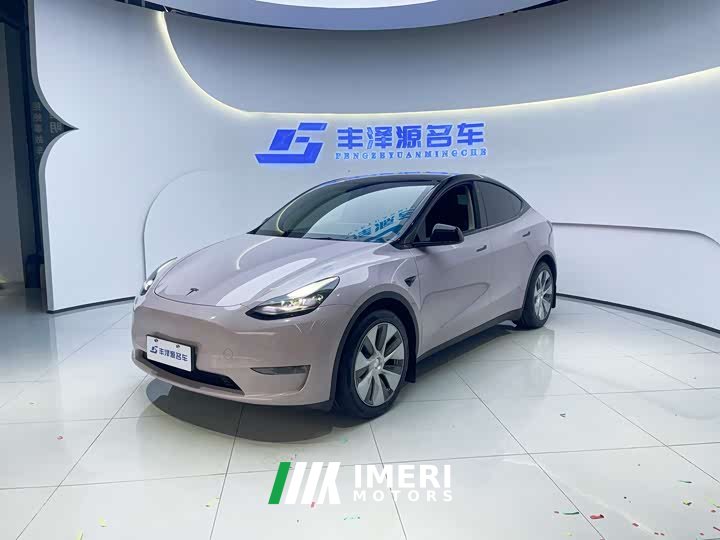 Tesla Model Y Standard Range Edition