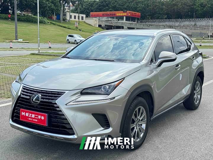Lexus NX 2020 200 AWD Feng Shang Edition National V - ავტომობილი ჩინეთიდან