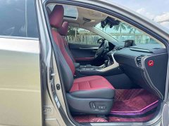 Lexus NX 2020 200 AWD Feng Shang Edition National V - ფოტო 12