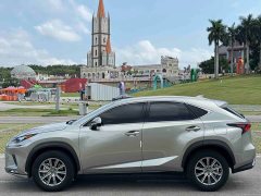 Lexus NX 2020 200 AWD Feng Shang Edition National V - ფოტო 3