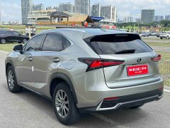 Lexus NX 2020 200 AWD Feng Shang Edition National V - ფოტო 4