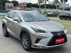 Lexus NX 2020 200 AWD Feng Shang Edition National V - ფოტო 8