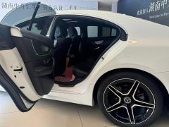 Mercedes-Benz CLS 2021 CLS 300 Luxury - photo 11