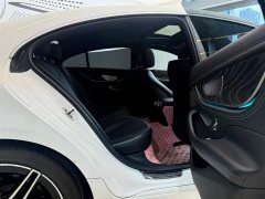 Mercedes-Benz CLS 2021 CLS 300 Luxury - photo 16