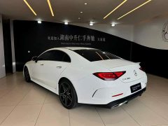 Mercedes-Benz CLS 2021 CLS 300 Luxury - photo 4
