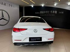 Mercedes-Benz CLS 2021 CLS 300 Luxury - photo 6