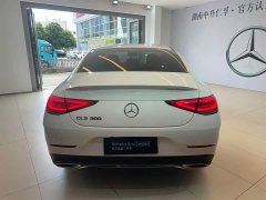 Mercedes-Benz CLS 2021 CLS 300 Luxury - photo 8