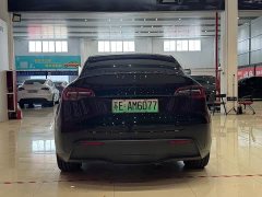 Tesla Model Y Rear-Wheel Drive - ფოტო 5