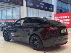 Tesla Model Y Rear-Wheel Drive - ფოტო 6