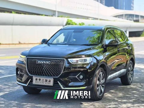 2021 Haval H6 2020 1.5L GDIT Automatic Platinum Champion Edition - ავტომობილი ჩინეთიდან