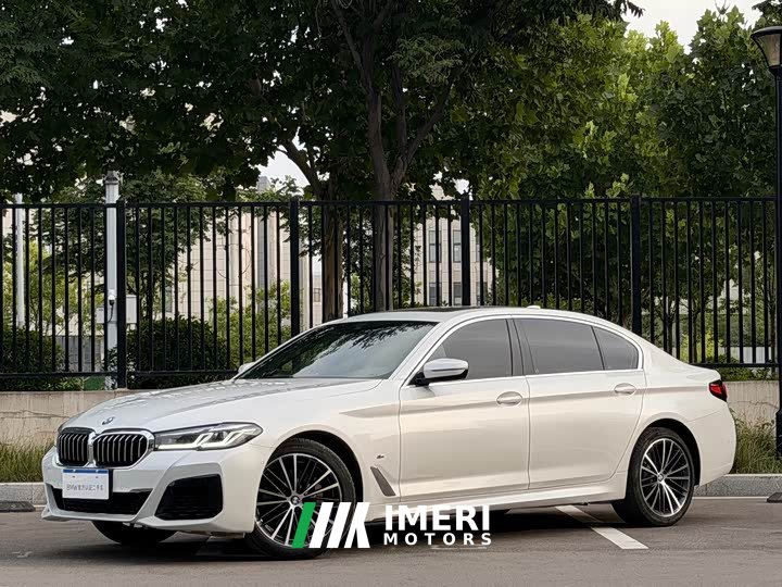 BMW 5 Series 530Li Premier M Sport Package - ავტომობილი ჩინეთიდან