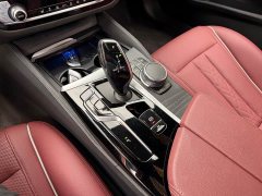 BMW 5 Series 530Li Premier M Sport Package - ფოტო 9