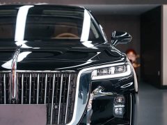 Hongqi H9 2020 2.0T Zhilian Qichang Edition - ფოტო 5