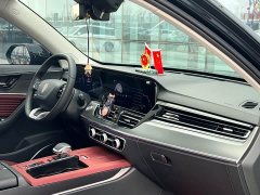 Hongqi HS5 2023 2.0T Qixiang Pro Edition - photo 9