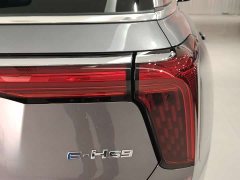FAW Red Flag E-HS9 2022 660km Range Flagship Edition Six-Seater - ფოტო 6