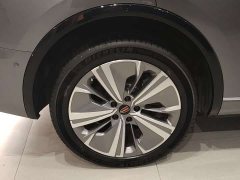 FAW Red Flag E-HS9 2022 660km Range Flagship Edition Six-Seater - ფოტო 7
