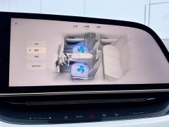 Hongqi Tiangong 08 2025 730 Max rear-wheel drive version - ფოტო 12