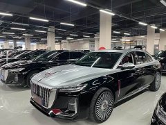 Hongqi H5 2023 2.0T Automatic Zhilianqichang Edition - photo 1