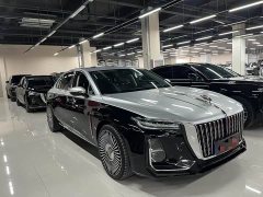 Hongqi H5 2023 2.0T Automatic Zhilianqichang Edition - photo 3