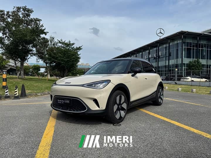smart elf #1 2026 smart new luxury version - ავტომობილი ჩინეთიდან