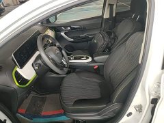 Changan Benben E-Star 2020 Heartbeat Edition ternary lithium - ფოტო 15