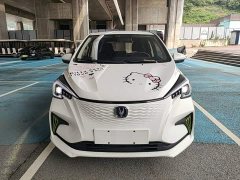 Changan Benben E-Star 2020 Heartbeat Edition ternary lithium - ფოტო 3