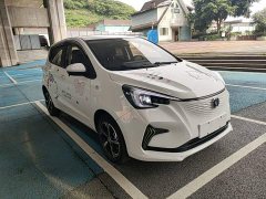 Changan Benben E-Star 2020 Heartbeat Edition ternary lithium - ფოტო 4