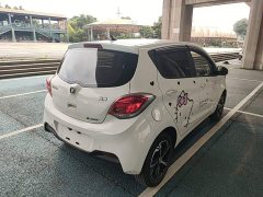 Changan Benben E-Star 2020 Heartbeat Edition ternary lithium - ფოტო 7