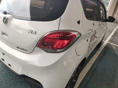Changan Benben E-Star 2020 Heartbeat Edition ternary lithium - ფოტო 8