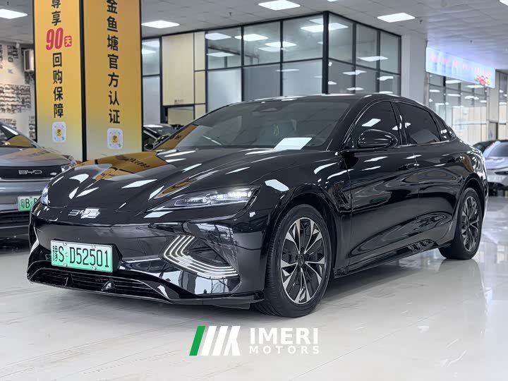 BYD 550km Standard Range EditionPremium Version