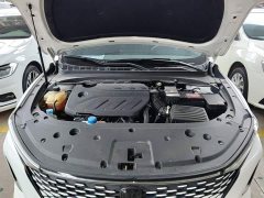 Changan Ruicheng PLUS 1.5T DCT Luxury - ფოტო 20