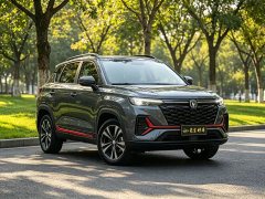 Changan CS35 Plus Comfort Edition 1.4T DCT Luxury - ფოტო 3
