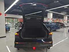 Changan CS75PLUS 2022 Classic Edition 1.5T Automatic Pioneer Type - ფოტო 19